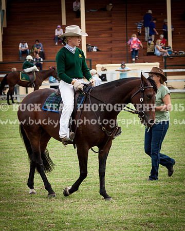 Stroud Show 209