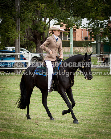 Stroud Show 210