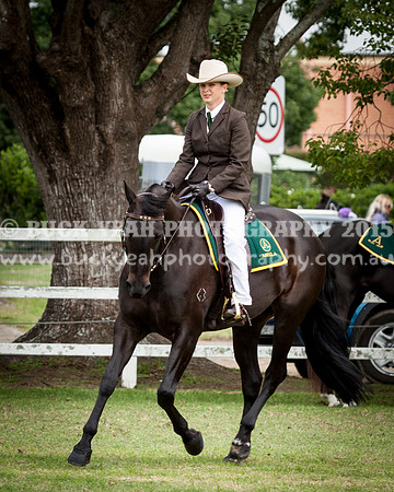 Stroud Show 217