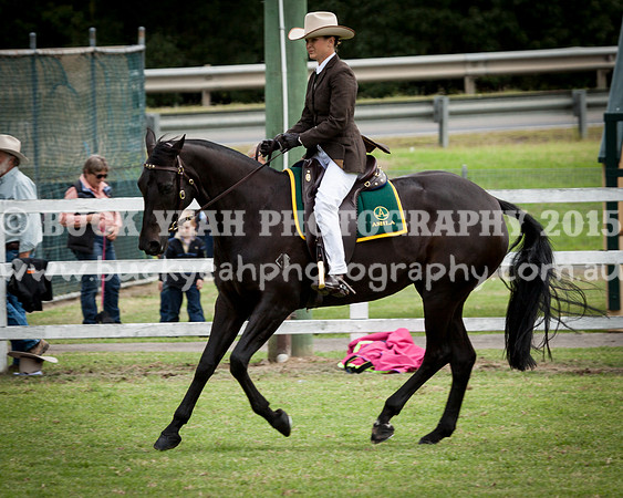 Stroud Show 214