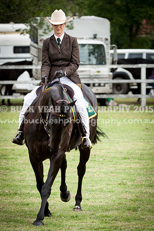 Stroud Show 216