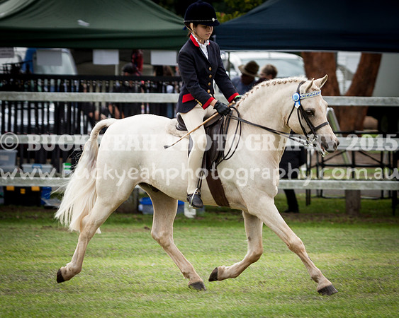 Stroud Show 211