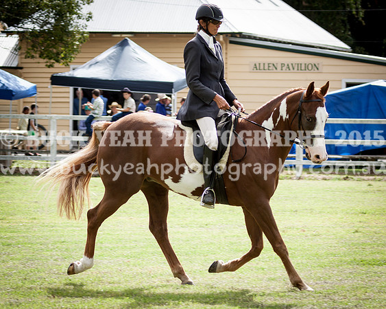 Stroud Show 204