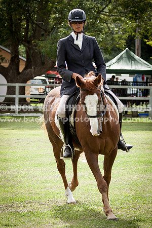 Stroud Show 205