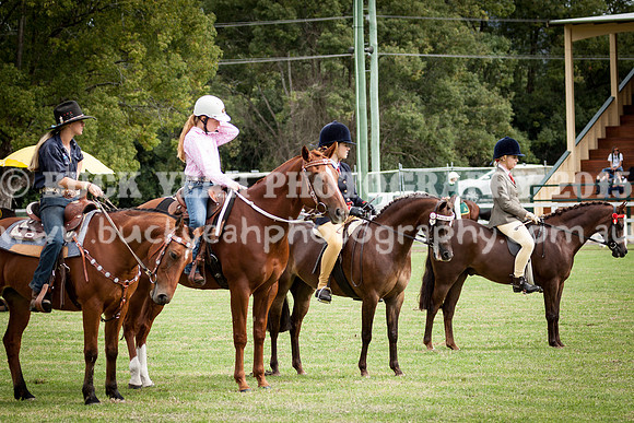 Stroud Show 207