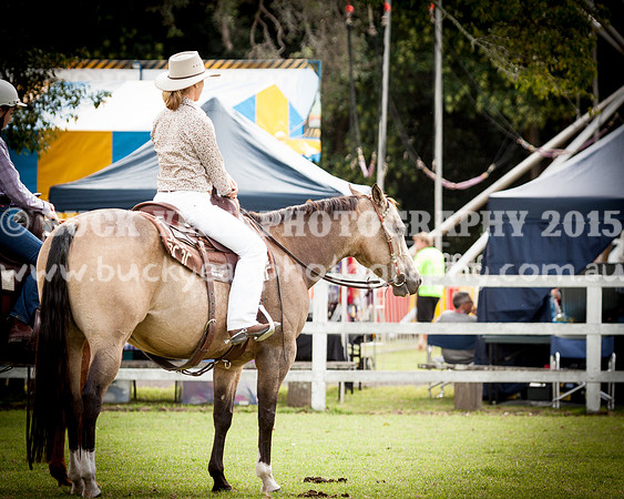 Stroud Show 190