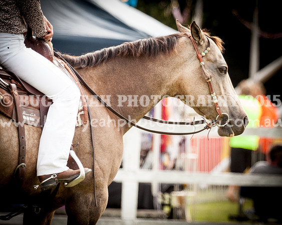 Stroud Show 189