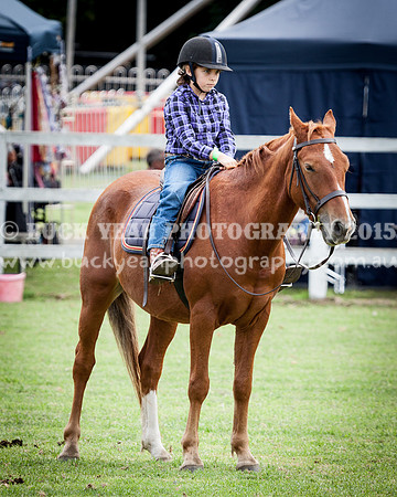 Stroud Show 186