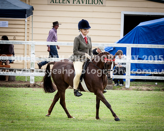 Stroud Show 181