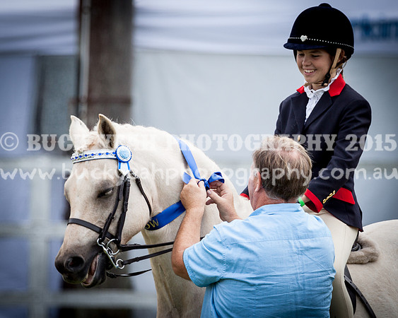 Stroud Show 183