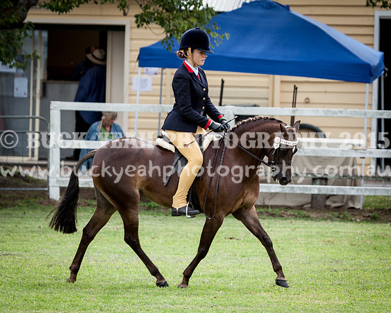 Stroud Show 178