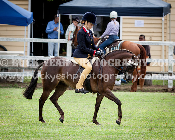 Stroud Show 179