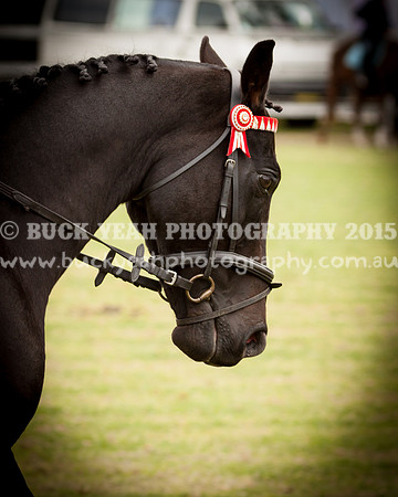 Stroud Show 173