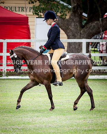 Stroud Show 174