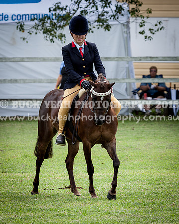 Stroud Show 175