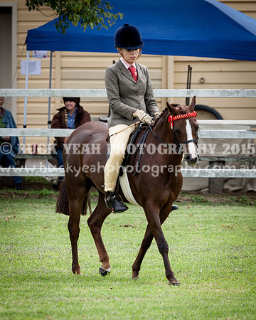 Stroud Show 176