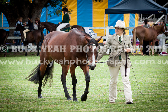 Stroud Show 155