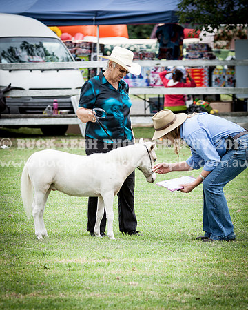 Stroud Show 157