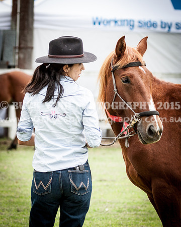 Stroud Show 158