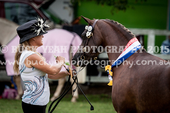 Stroud Show 152
