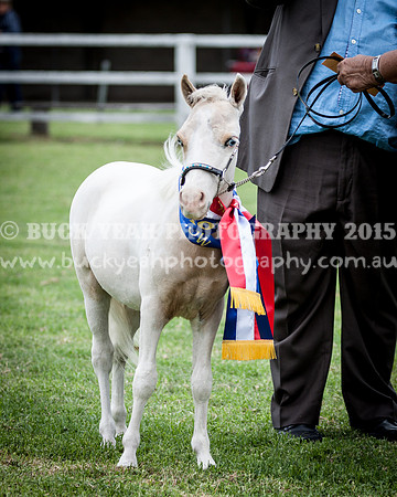 Stroud Show 139