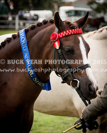 Stroud Show 141