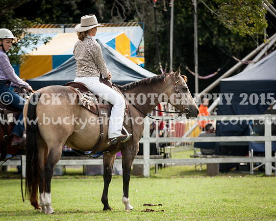 Stroud Show 137