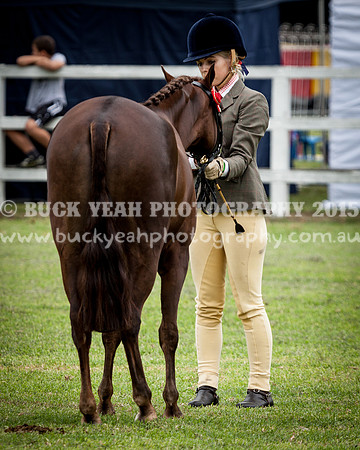 Stroud Show 131