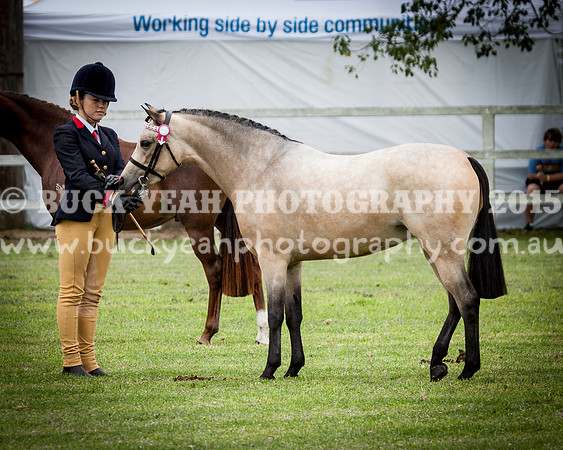 Stroud Show 126
