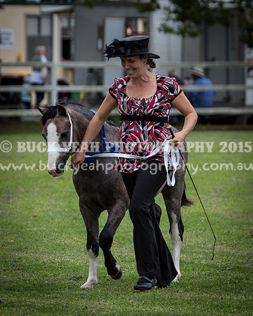 Stroud Show 123
