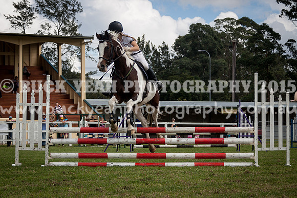 Stroud Show 218
