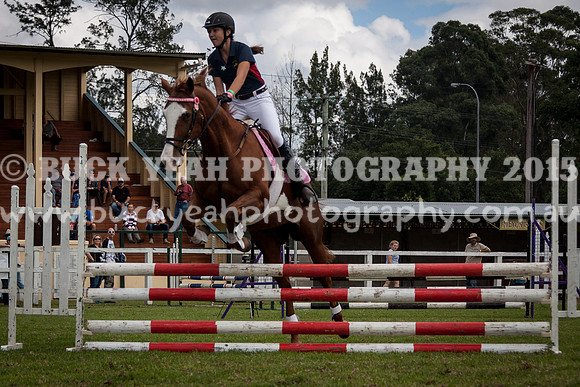 Stroud Show 219
