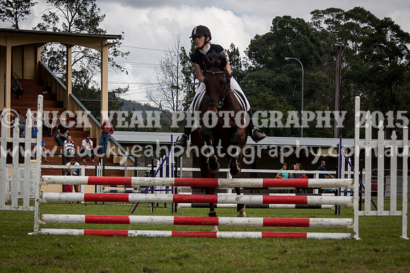 Stroud Show 221