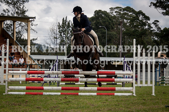 Stroud Show 226