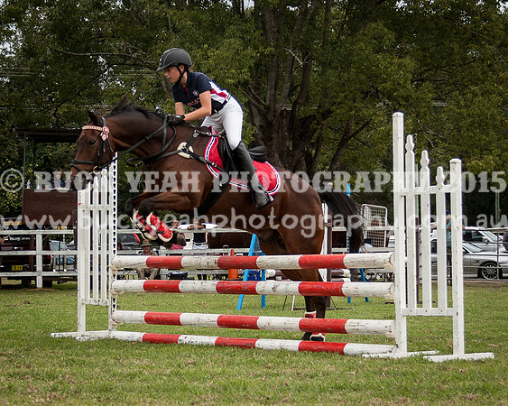 Stroud Show 227