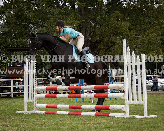 Stroud Show 228