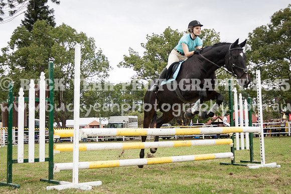 Stroud Show 229