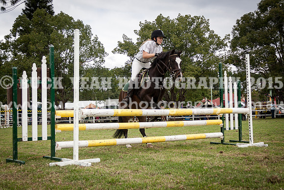 Stroud Show 230