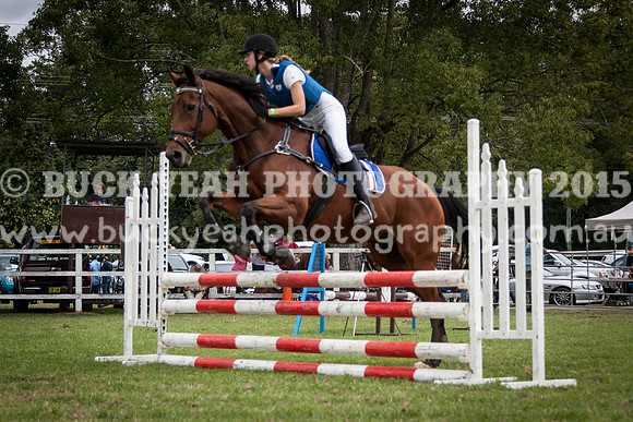 Stroud Show 231