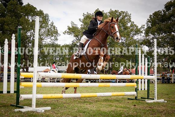 Stroud Show 233