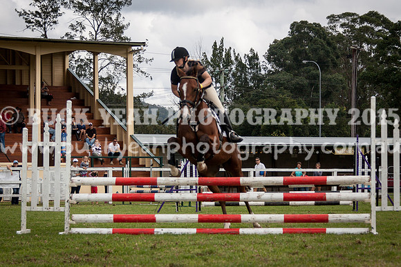 Stroud Show 410