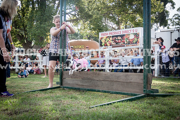 Stroud Show 286