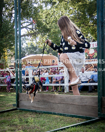 Stroud Show 289