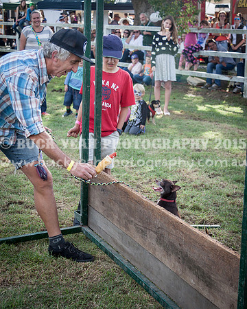 Stroud Show 291