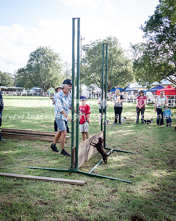 Stroud Show 292