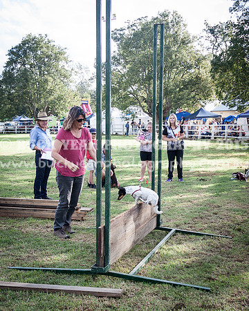 Stroud Show 294