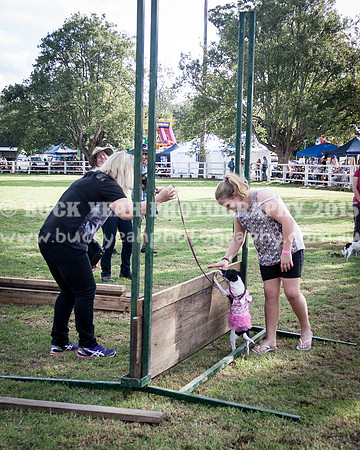 Stroud Show 296