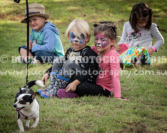 Stroud Show 297
