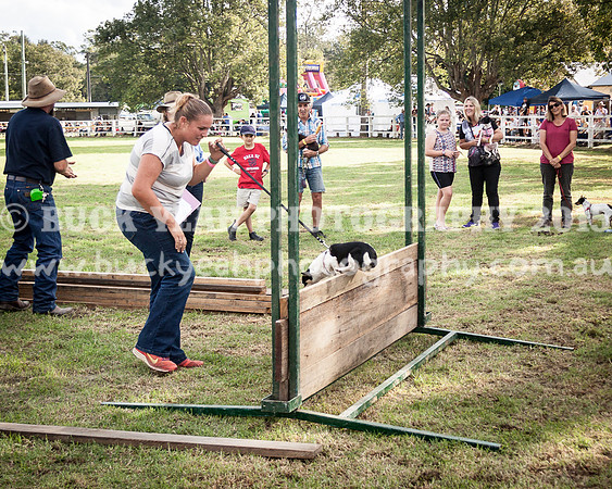 Stroud Show 298
