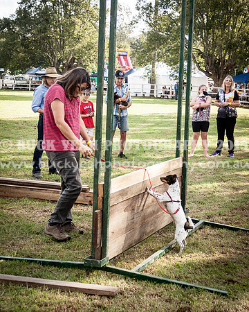 Stroud Show 300
